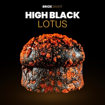 HIGH BLACK LOTUS de Briox Baker, imagen lista para publicar