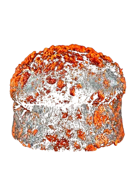 Pan brioche BLACK LOTUS